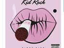 Kid Rock First Kiss [LP]180 Gram VINYL RECORD SEALED