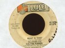 ALLISON & CALVIN TURNER What is This on Lulu Soul Funk 45 Hear