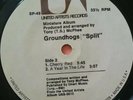 Groundhogs   Mini Album SPLIT  1971**Tony McPhee   LOOKS UPLAYED