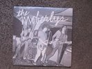 JIM BASNIGHT AND THE MOBERLYS 
