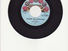 Little Walter-Diggin' My Potatoes/Shake Dancer-Rare 60's Blues DJ/Demo 45