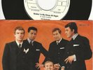 Musterplatte / Promo The Delegates - Walkin' in my sleep all night / Nightwalk