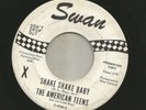 GARAGE ROCKABILLY- AMERICAN TEENS - W/ LINK WRAY -SHAKE SHAKE -HEAR - 1966 SWAN