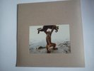 Shellac - Dude Incredible