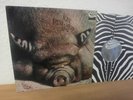 Kin Ping Meh 2, Krautrock Original German 1st.Press Zebra 1972 Mint