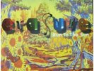 ERASURE Run To The Sun 12