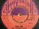 MR. FOUNDATION rare Maga Dog reggae roots Supreme UK 45 LISTEN