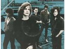 TRAGICALLY HIP Small Town Bringdown 12