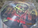 SLAYER  SEASONS IN THE ABYSS    PICTURE LP