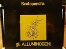 Gli Alluminogeni ?– Scolopendra LP Originale Fonit 1972 RARISSIMO PROG NEAR MINT