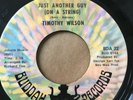 Northern Soul 45/ Timothy Wilson 