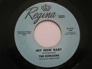 The Horizons– Hey Now Baby/ Strange Oh Strange 7