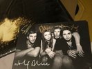 Wolf Alice My Love Is Cool Gold Vinyl Signed Card RARE