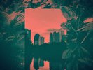 NUBIYAN TWIST - JUNGLE RUN - NEW VINYL LP