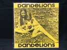 Tres & Kitsy - Dandelions US private press psych acid folk original LP