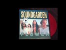 Soundgarden Flower Vinyl LP 1989 Clear Red Vinyl