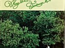 TERUMASA HINO: May Dance-NM1977LP JOHN SCOFIELD/RON CARTER/TONY WILLIAMS