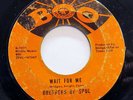 BROTHERS OF SOUL-WAIT FOR ME/I'D BE GREATFUL ON BOO NORTHERN 45-HEAR