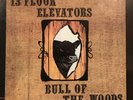 13th Floor Elevators Bull Of The Woods Green Label IA-LP 9 VG+ Not On Discogs