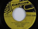 Reggae 45 PIONEERS & THE RAMBLERS Never Come Running Back CALTONE HEAR