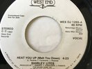 Northern Soul Funk Promo 45/ Shirley Lites 
