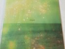 Sigur Ros - Valtari + NMH - In An Aeroplane Over The Sea 12