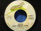Queen Keep Yourself Alive / Son And Daughter Rare 1973 Elektra Glam Hard Rock 45