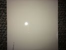 The Beatles - White Album MONO 2014 Analog 180g vinyl record LP OOP New & SEALED