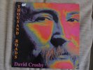 DAVID CROSBY (NOT STILLS, NASH, YOUNG) - THOUSAND ROADS (LP, 1993, EX)