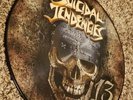 Suicidal Tendencies 13 Picture Disc Album Punk Metal Rock Vinyl