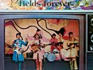 BEATLES STRAWBERRY FIELDS FOREVER 1975 NEMS IMPORT EX TO NM VINYL ROCK 