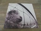 Pearl Jam - Vs 1993 USA LP EPIC ASSOC. 1st