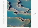 ARP - Zebra - Vinyl (2xLP + MP3 download code)