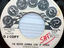 KNIGHT BROTHERS strong vg+ soul CHECKER 45 I'M NEVER GONNA LIVE IT DOWN CT2236