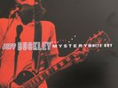 Jeff Buckley Mystery white boy Live 95-96 Doppel LP VINYL