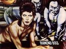 Diamond Dogs [lp_record] David Bowie,David Bowie