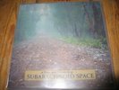 SUBARACHNOID SPACE - A NEW AND EXACT MAP - LP