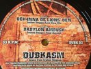 dubkasm / deh inna de lions den - babylon ambush / sufferahs choice 12