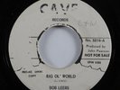Country 45 BOB LEERS Big Ol' World CAVE promo HEAR