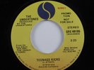 Punk 45 UNDERTONES Teenage Kicks SIRE VG++/VG+ promo HEAR