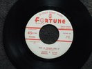 northern soul ANDRE WLLIAMS / GINO PARKS Put a Chain On It FORTUNE M-