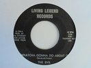 THE EVIL Whatcha Gonna Do About it LIVING LEGEN Miami 60's Garage Punk 45 HEAR