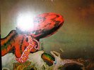 Gentle Giant - Octopus - LP von 1972