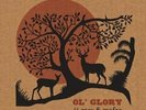 JJ Grey and Mofro-Ol' Glory (UK IMPORT) Vinyl / 12