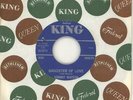 Johnny Guitar Watson Gangster Of Love USA 7