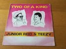 JUNIOR REID & TEEZY - TWO OF A KIND - 1985 WAMBESI LP EX- LOTS MORE REGGAE LOOK