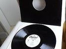 SKINNY PUPPY    original Promo Vinyl LP    Last Rights (1992)
