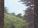 JINSANG Life. LP NEW VINYL Vinyldigital.de instrumentals