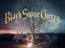 Family Tree [VINYL], Black Stone Cherry, Vinyl, New, FREE & Fast Delivery