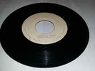 BLANK[STUDIO ONE]/SMALL GARDEN - ZOOT SIMMS [ROOTS REGGAE]  7